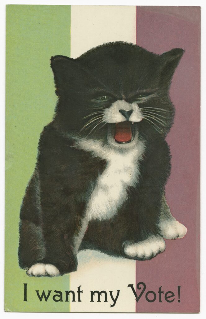 Postkarte »I want my Vote!«; Künstler:in nicht dokumentiert; Baltimore City, USA, um 1908; Papier, 13,7 x 8,8 cm; MARKK Inv. Nr. 2025.19:1, Ankauf, 2025