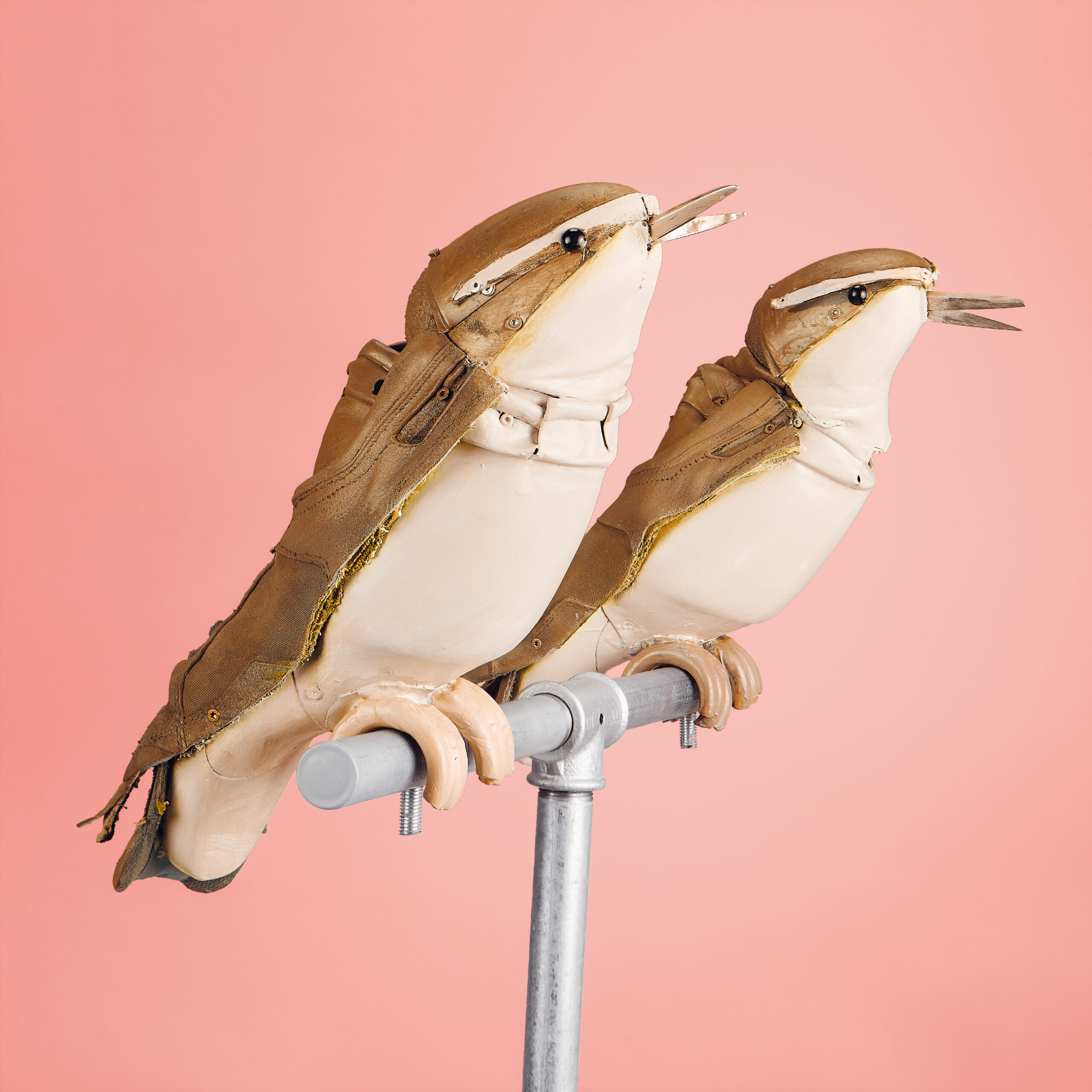Vogelperspektiven – Die Vögel und wir