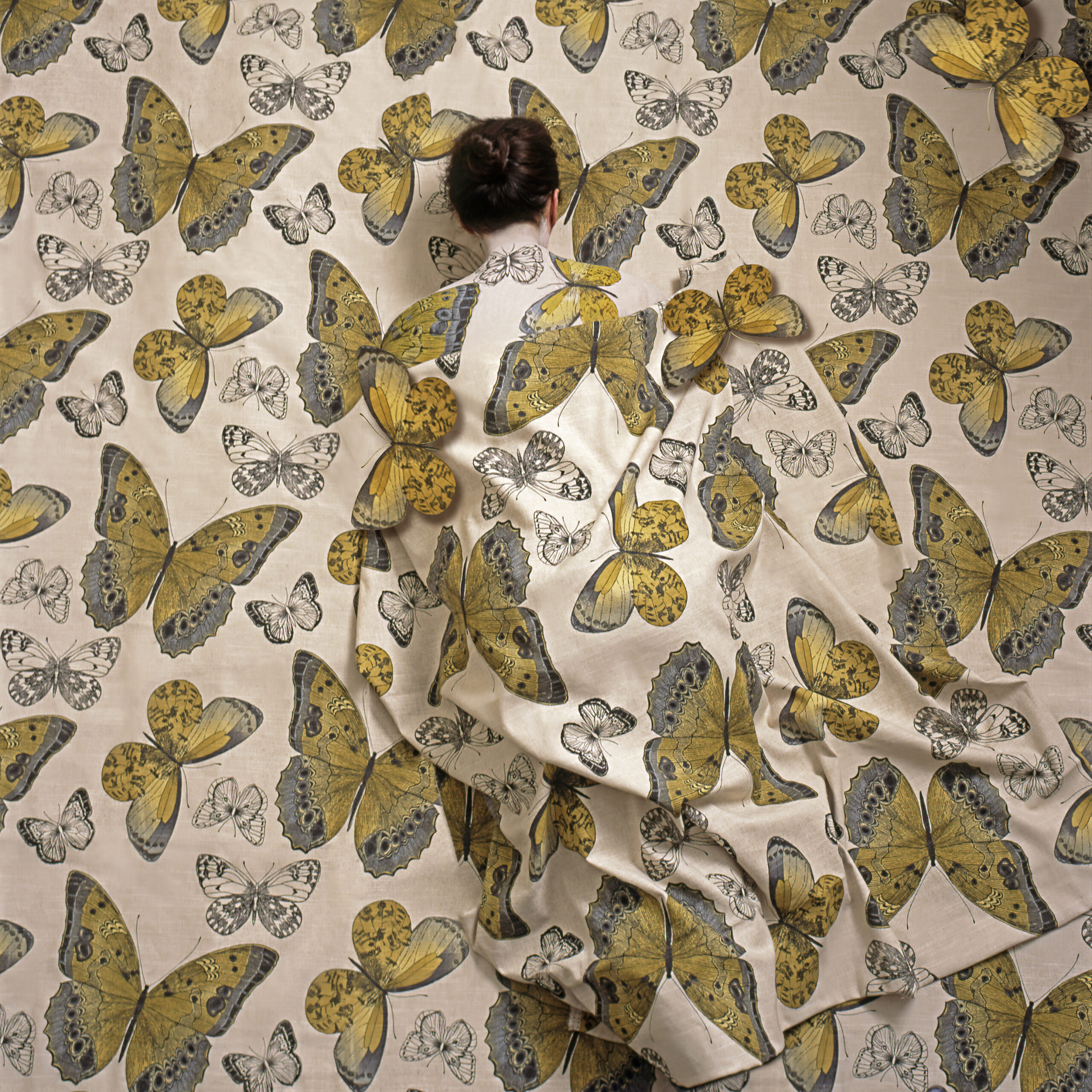 Cecilia Paredes – A circular flight