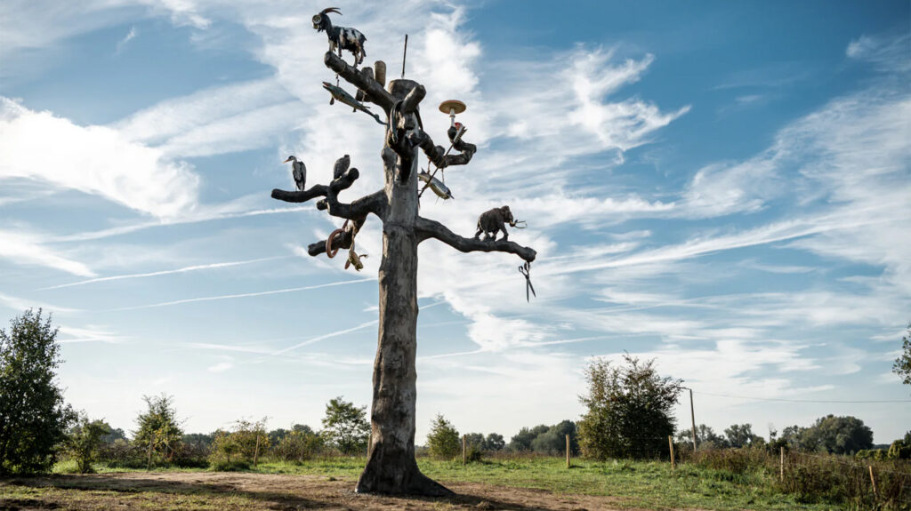 Mark Dion, Tree of Life.